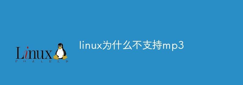 linux为什么不支持mp3