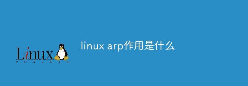 linux arp作用是什么