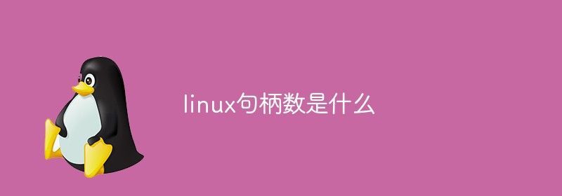 linux句柄数是什么