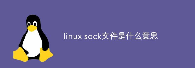 linux sock文件是什么意思