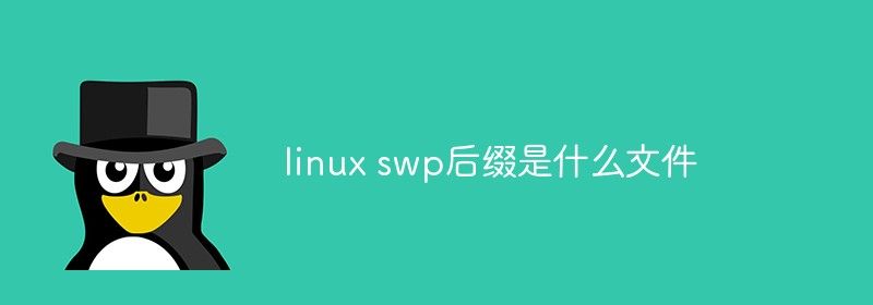 linux swp后缀是什么文件