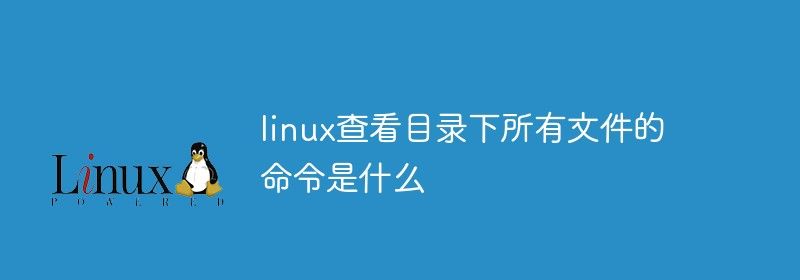 linux查看目录下所有文件的命令是什么