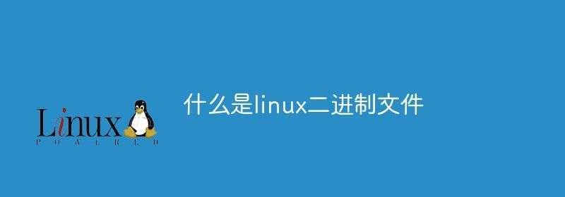 什么是linux二进制文件