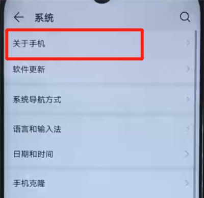 荣耀20i中进入开发者模式的操作方法截图