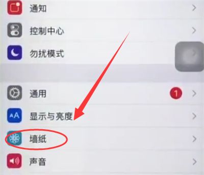 苹果6plus中设置墙纸的简单步骤截图