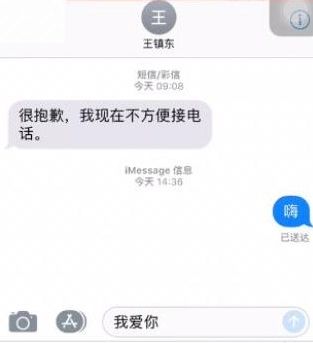 苹果短信设置特效的简单操作方法截图