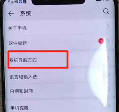 华为mate20pro中设置虚拟按键的操作教程截图