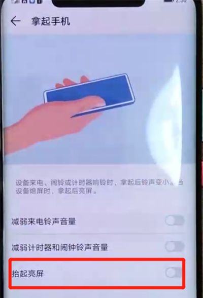 华为mate20pro中设置抬起亮屏的操作教程截图