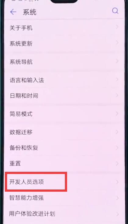 华为p20中打开开发人员选项的操作步骤截图