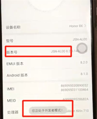 荣耀8x打开开发者模式的操作教程截图