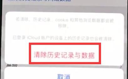 iphonexr清除Safari历史记录的操作流程截图