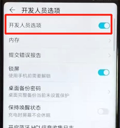 荣耀v20打开开发者选项的操作步骤截图