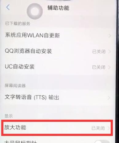 vivoz1开启放大手势基本讲述截图