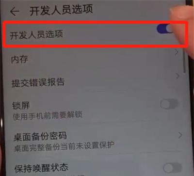 华为nova4中开启开发者选项的操作教程截图