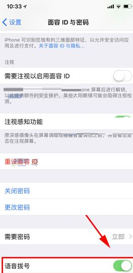 iPhone X设置语音拨号的操作过程截图