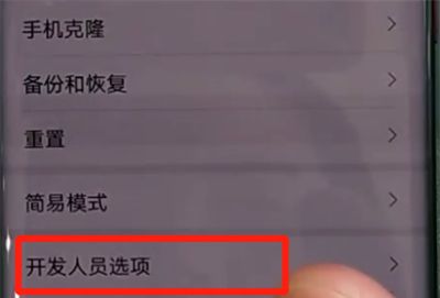 华为mate30pro中关闭开发人员选项的操作教程截图