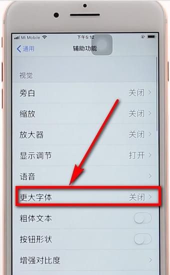苹果手机调整字体的操作过程截图