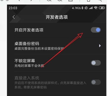 坚果pro2实现无线投屏的相关操作方法截图