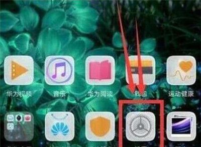 在华为畅享9s中记步数的方法介绍截图