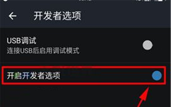 一加6打开开发者选项的具体操作截图