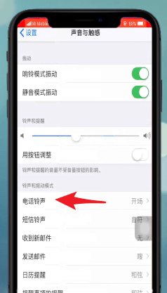 苹果xr设置铃声的操作流程截图