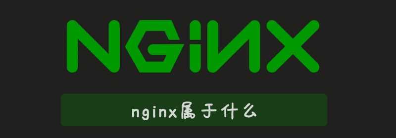 nginx属于什么