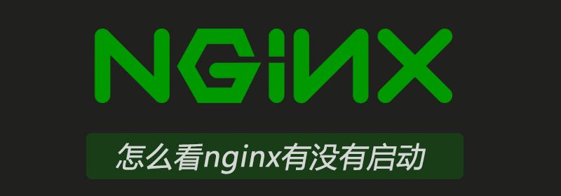 怎么看nginx有没有启动