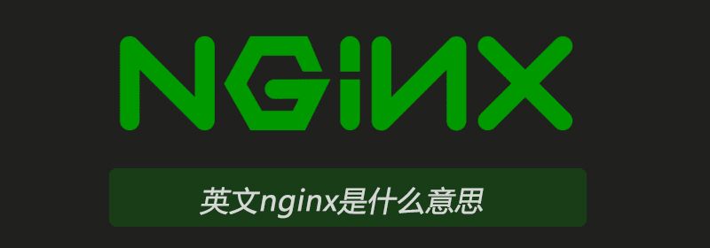 英文nginx是什么意思