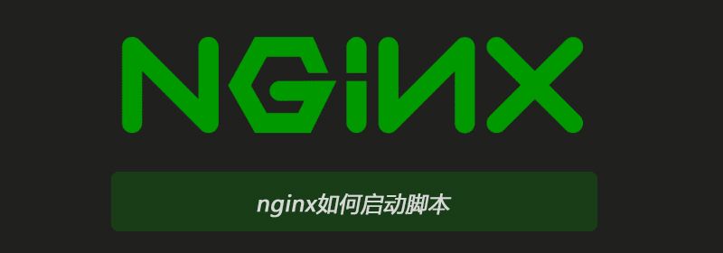 nginx如何启动脚本