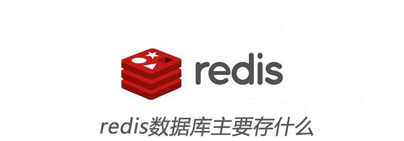 redis数据库主要存什么