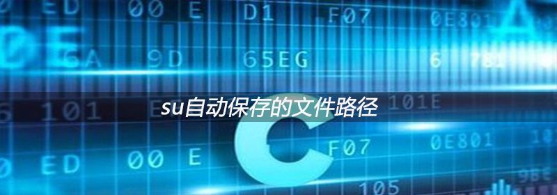 c语言中int是什么意思