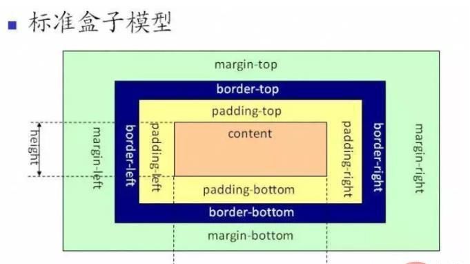 css标准模型包含外边距吗