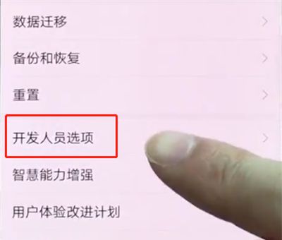 华为p20pro中打开开发者选项的简单方法截图