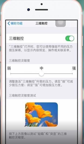 苹果手机设置3dtouch的图文操作截图