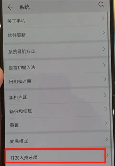 华为p30中退出开发者选项的操作教程截图