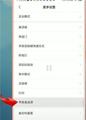 安卓手机开启开发者选项的操作流程截图