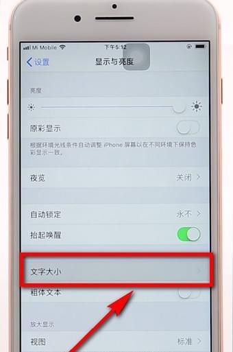 苹果手机调整字体的操作过程截图