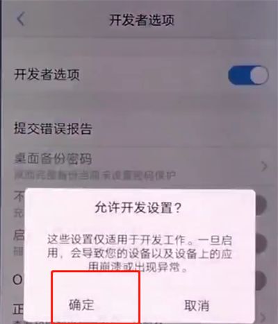 vivox20中打开开发者选项的简单步骤截图