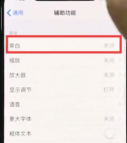 iphonexr中关闭旁白的简单步骤截图