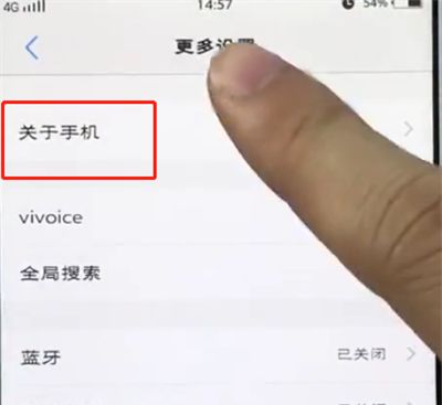 vivo手机中打开开发者选项的简单步骤截图