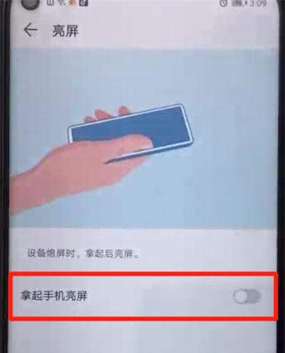 荣耀20pro中设置抬起亮屏的操作步骤截图