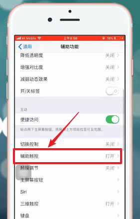 iphone手机设置手势的操作流程截图