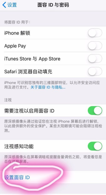 在iPhone xs max中设置人脸识别的图文教程截图