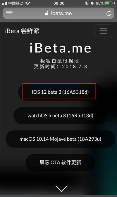 ios12beta3升级的方法介绍截图