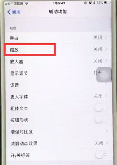 苹果6plus中使用缩放的操作步骤截图