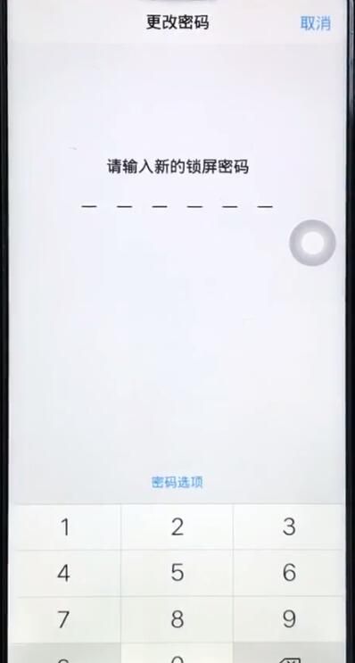 vivoz1更改锁屏密码的操作教程截图