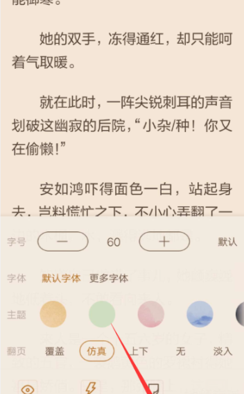 在看小说中开启自动翻页的图文教程截图