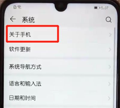 荣耀10青春版中打开开发者选项的操作教程截图