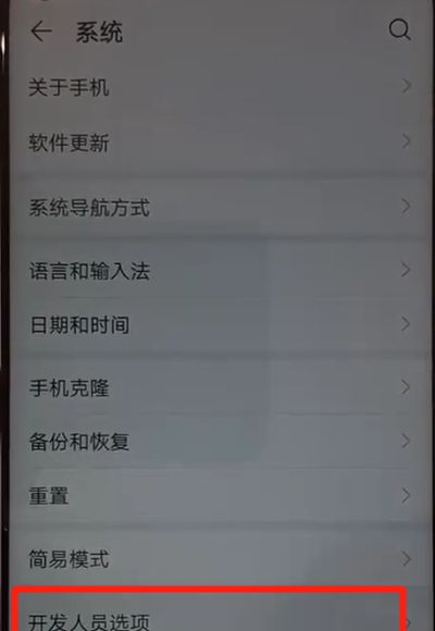 华为nova4关掉开发人员选项的详细操作截图