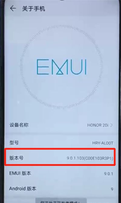 荣耀20i中进入开发者模式的操作方法截图